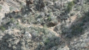 PICTURES/Barnhardt Trail/t_Guy on Trail.JPG